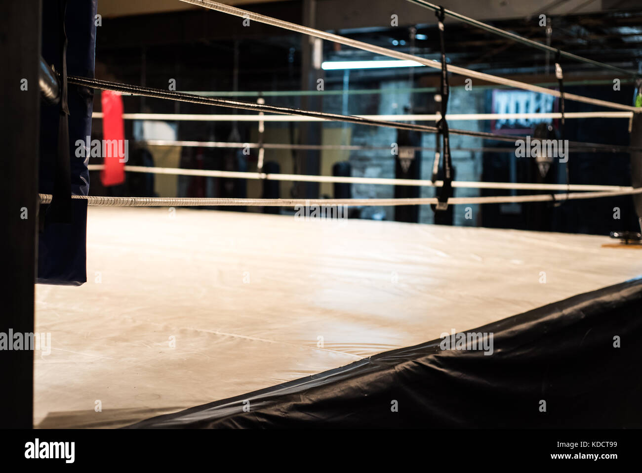 Boxing ring and red seat in hall Royalty Free Vector Image