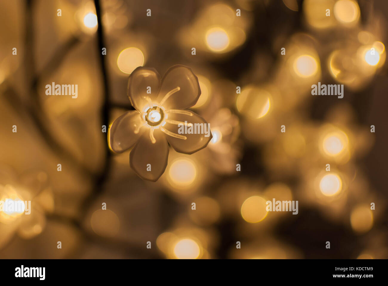 Flower led lights with blur Stock Photo Alamy