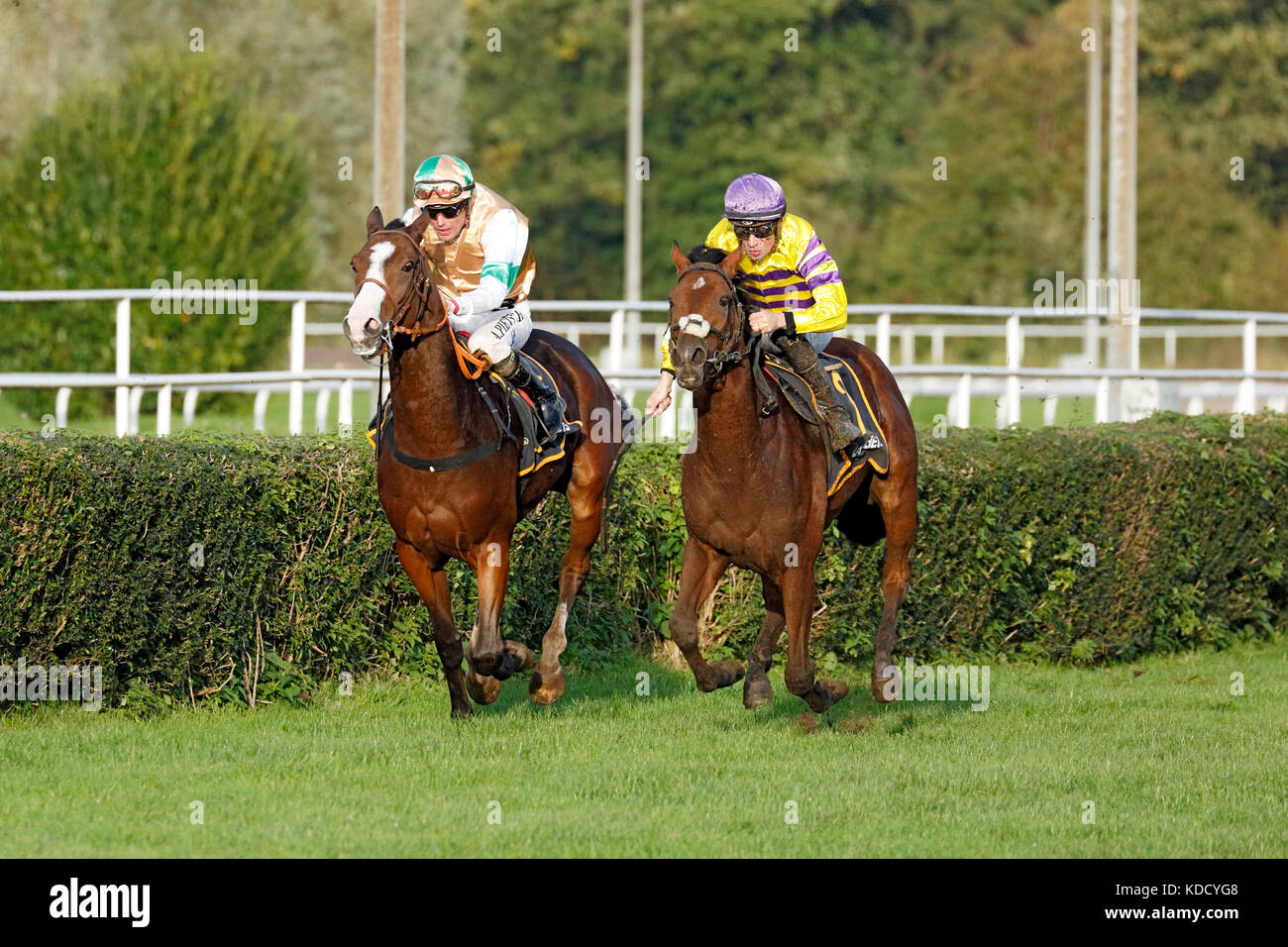 sports, equestrian sport, horserace, horse racing, racecourse Dortmund, race day 08.10.2017, 8th race, left jockey A. Pietsch riding Ziro, right jockey D. Porcu riding Never In Doubt, race course, turf, gallop racing, horses, horsemen, riders, jockeys, D-Dortmund, D-Dortmund-Wambel, Ruhr area, Westphalia, North Rhine-Westphalia, NRW Stock Photo