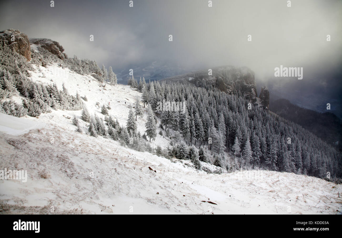 winter landscape with snowy fir trees in the mountains Stock Photo - Alamy