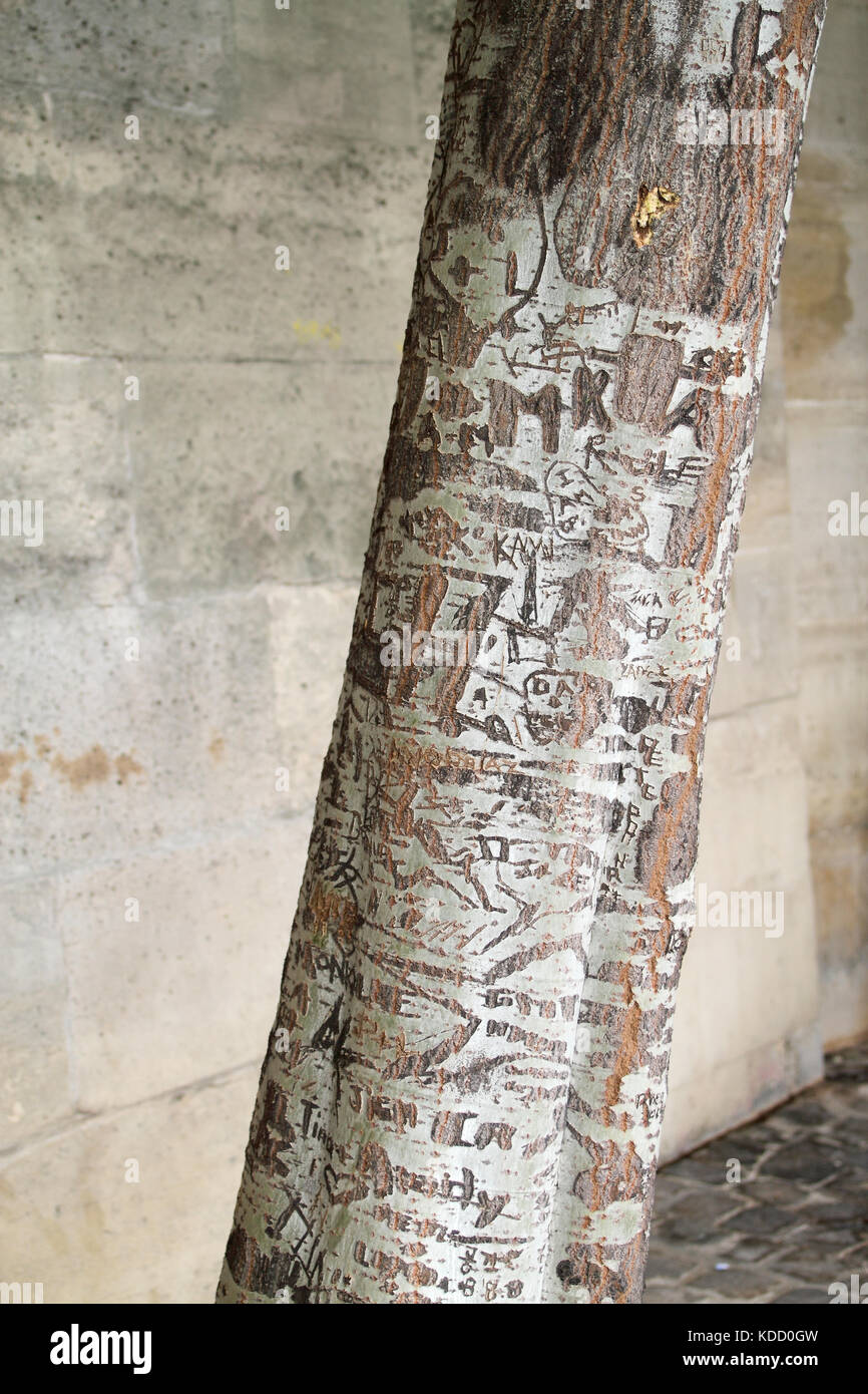 Declaration For Tree Engraved declarations on tree trunk on bank of Seine rivers, Paris ...