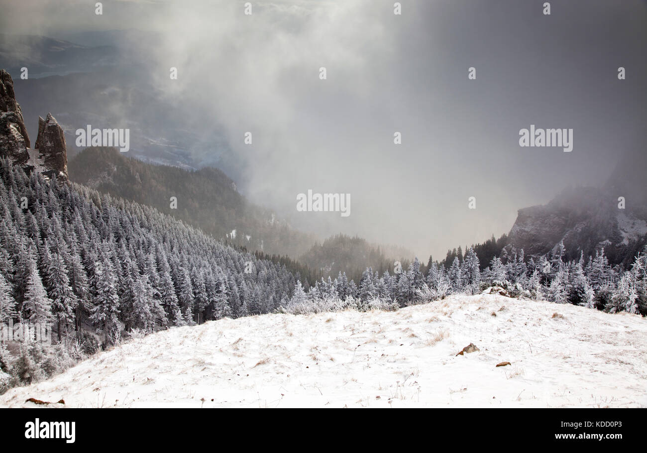 winter landscape with snowy fir trees in the mountains Stock Photo - Alamy