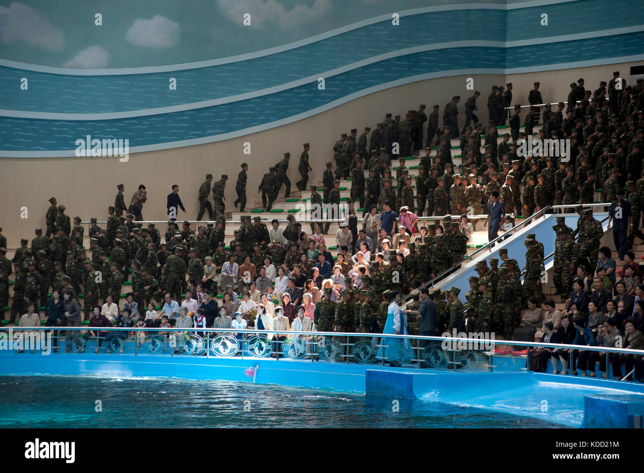 Spectacle à l’aquarium de Pyongyang le 14 octobre 2012. Show at the
