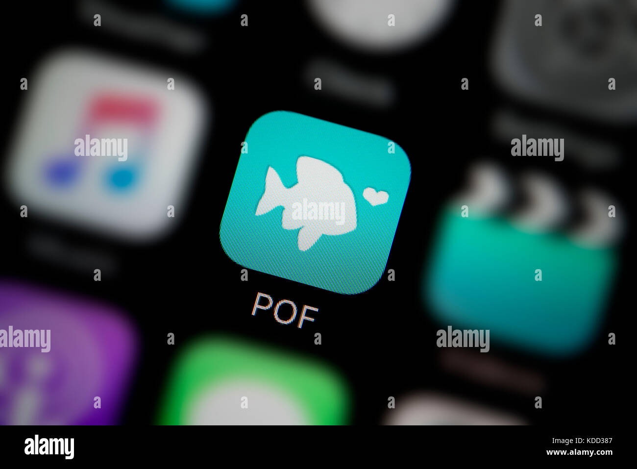 A close-up shot of the logo representing POF Plenty of Fish app icon, as seen on the screen of a smart phone (Editorial use only) Stock Photo