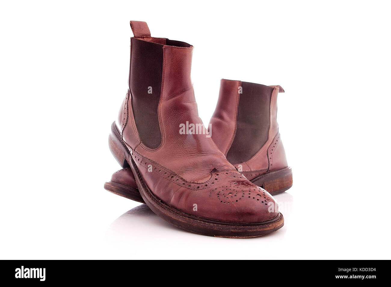 boots, brown, brush, business, cleaning, cloth, dress, hair, horse