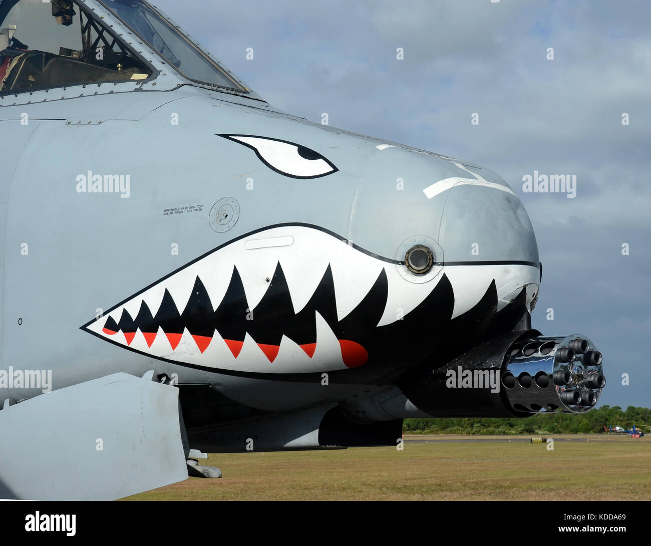 A10 Warthog Nose Art