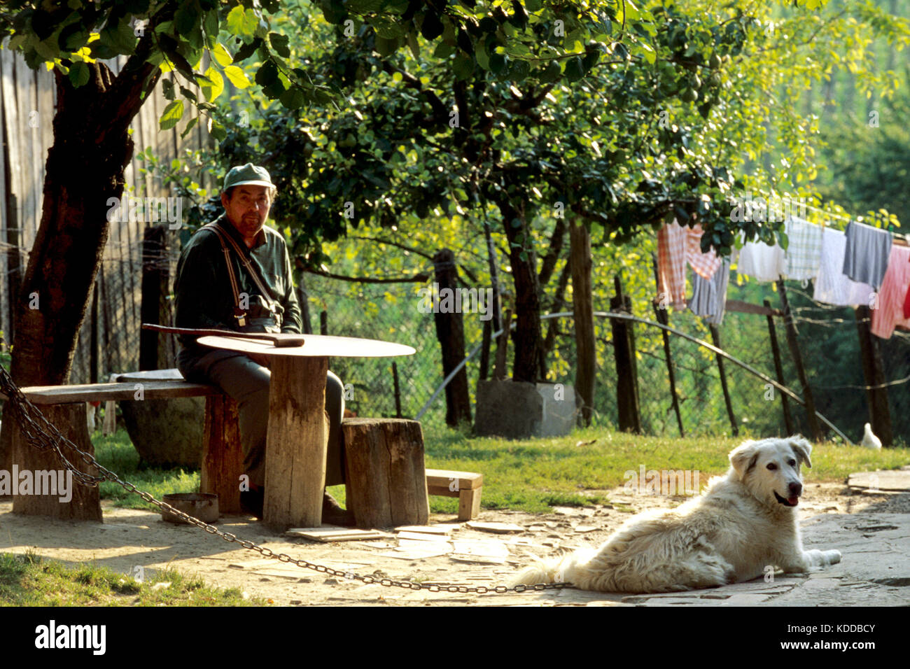 Fonyod, südl., Somogyvamos, Dorfszene, alter Mann mit Hund Stock Photo