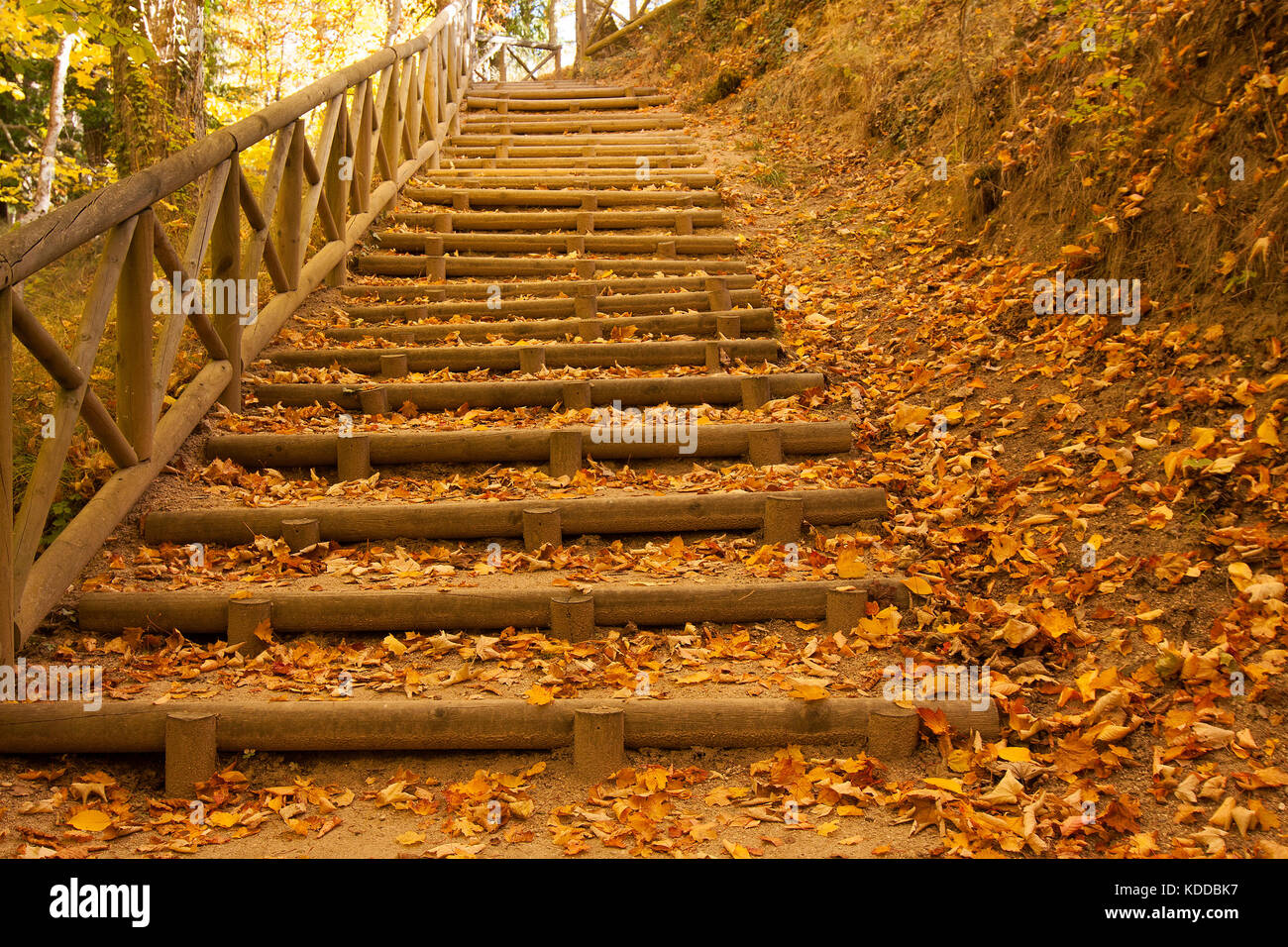 Autumn stairs Stock Photo