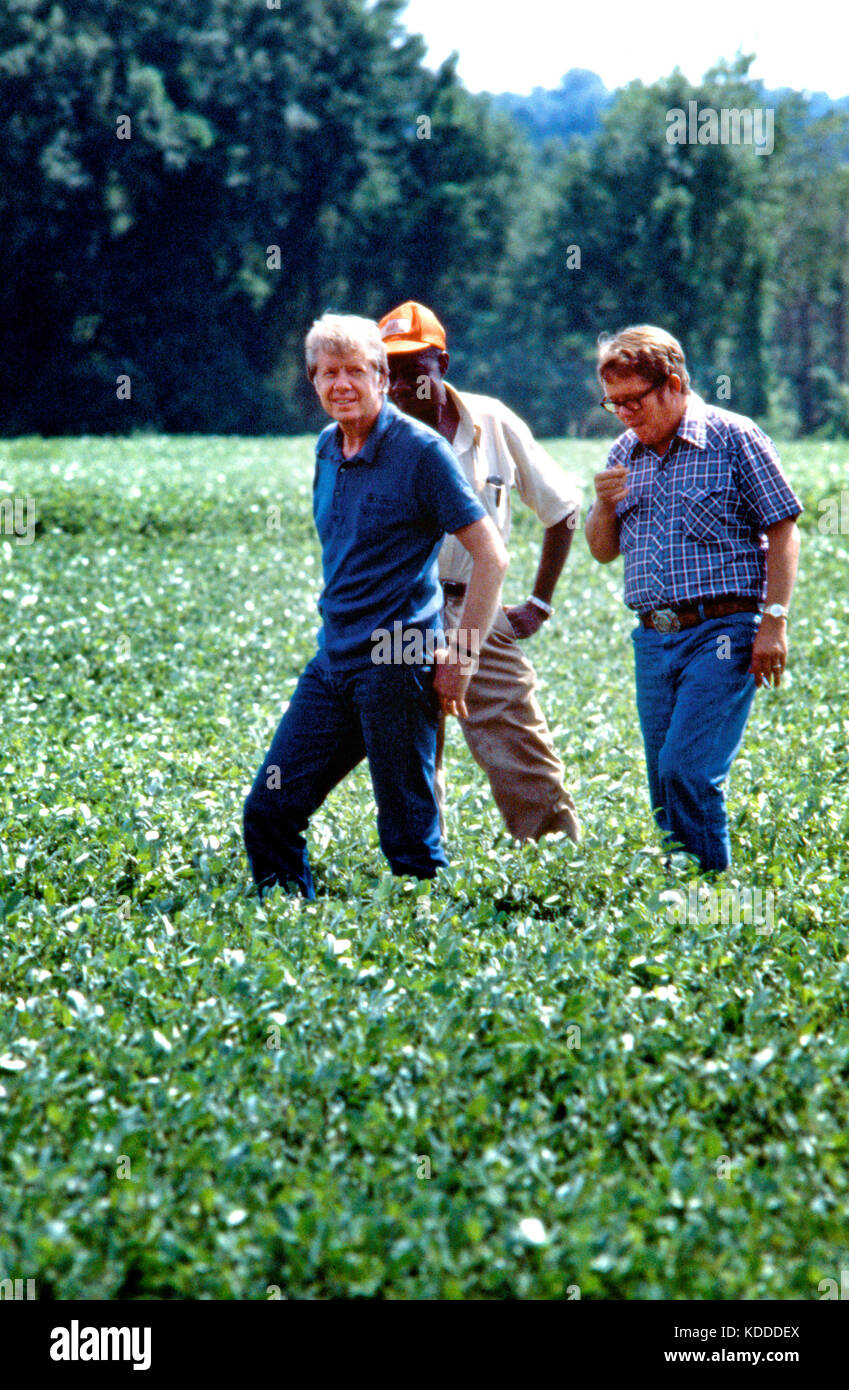 President Jimmy Carter and his brother Billy Carter are joined by a tenant farmer as they assess their summer peanut crop. The Carters own tracts of f Stock Photo