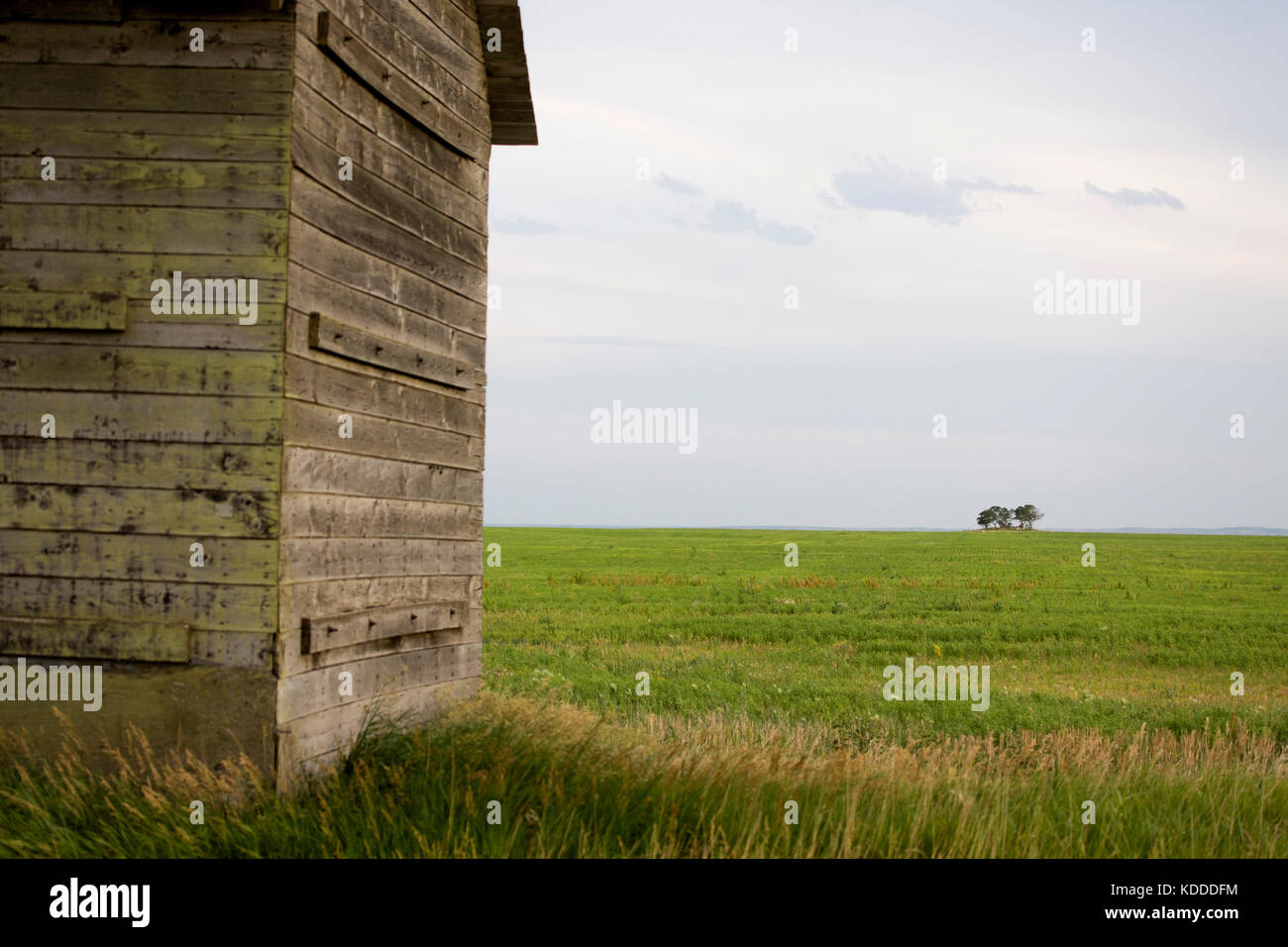 Prairie Barn Saskatchewan summer rural scene Canada Stock Photo