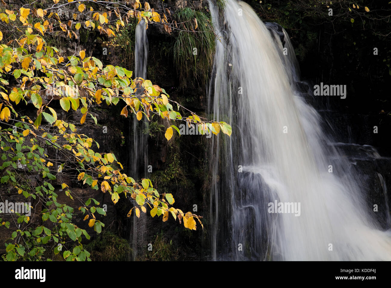 The upper falls of East Gill Force waterfall in the Yorkshire Dales Stock Photo