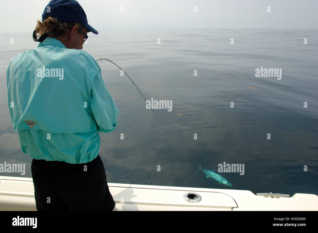 A fisherman with a kingfish or king mackerel caught while fly fishing offshore from Freeport, Texas Stock Photo