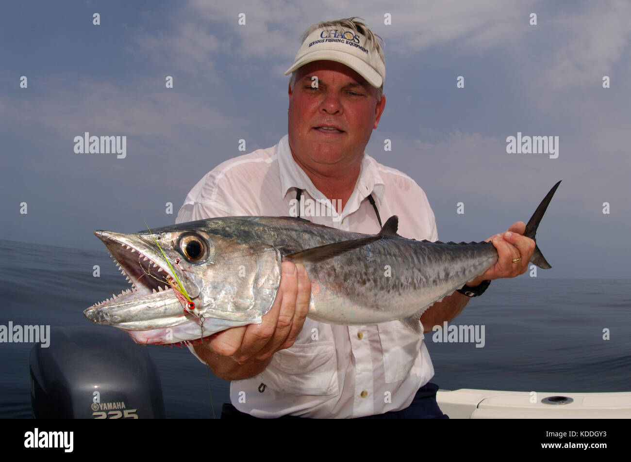 King mackerel, Spotted mackerel, Seerfish fresh - Stock Photo