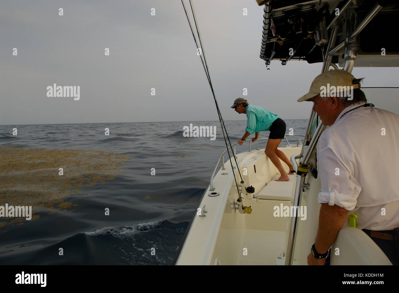 A fly fisherman casting his fly rod and looking for kingfish on a weed line offshore from Freeport Texas Stock Photo