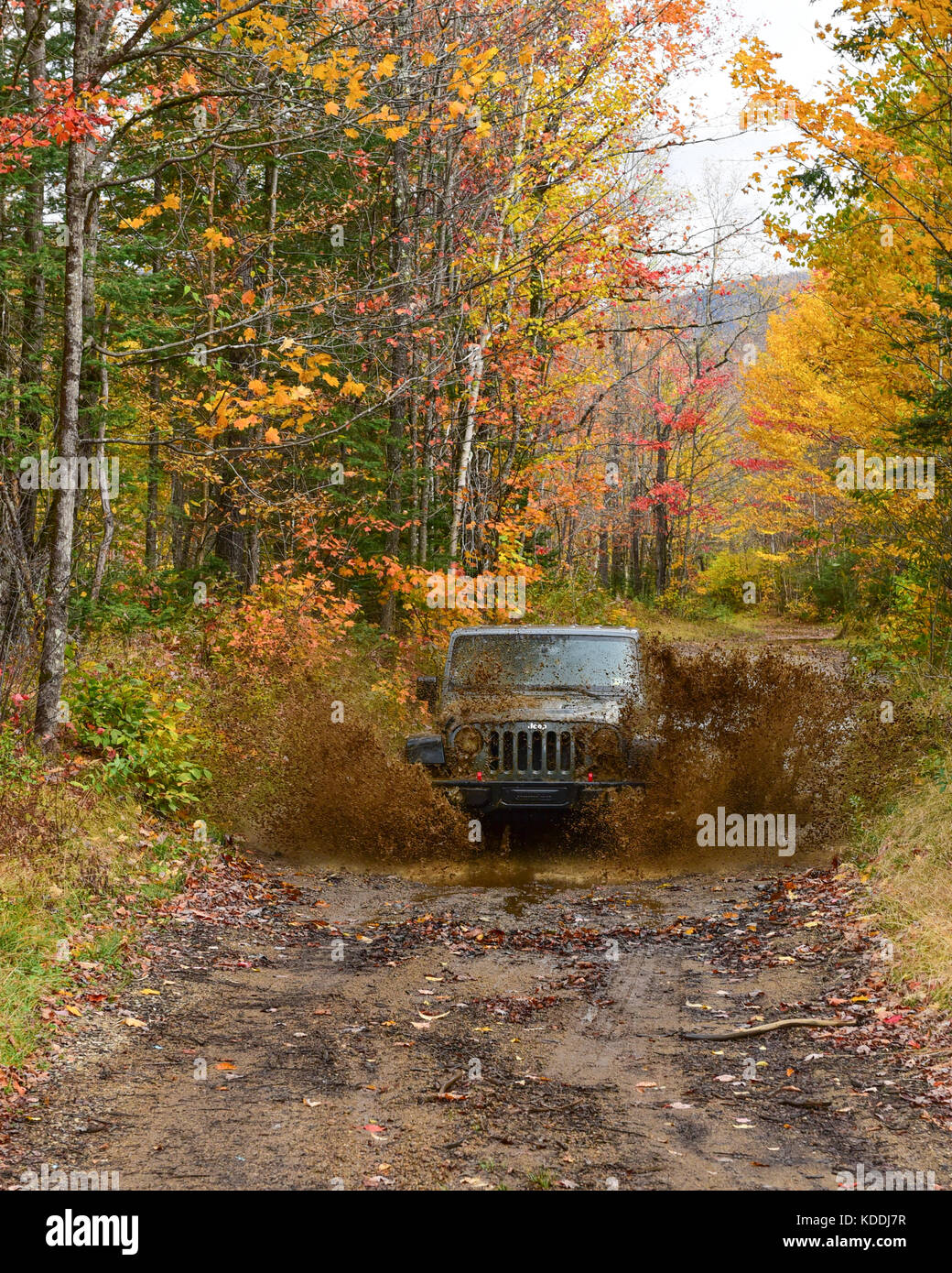 A Jeep Wrangler Rubicon charging through a water and mud hole in the Adirondack wilderness in autumn. Stock Photo