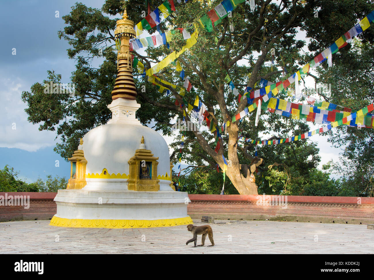 White Stupa from Swyambhunath Stock Photo