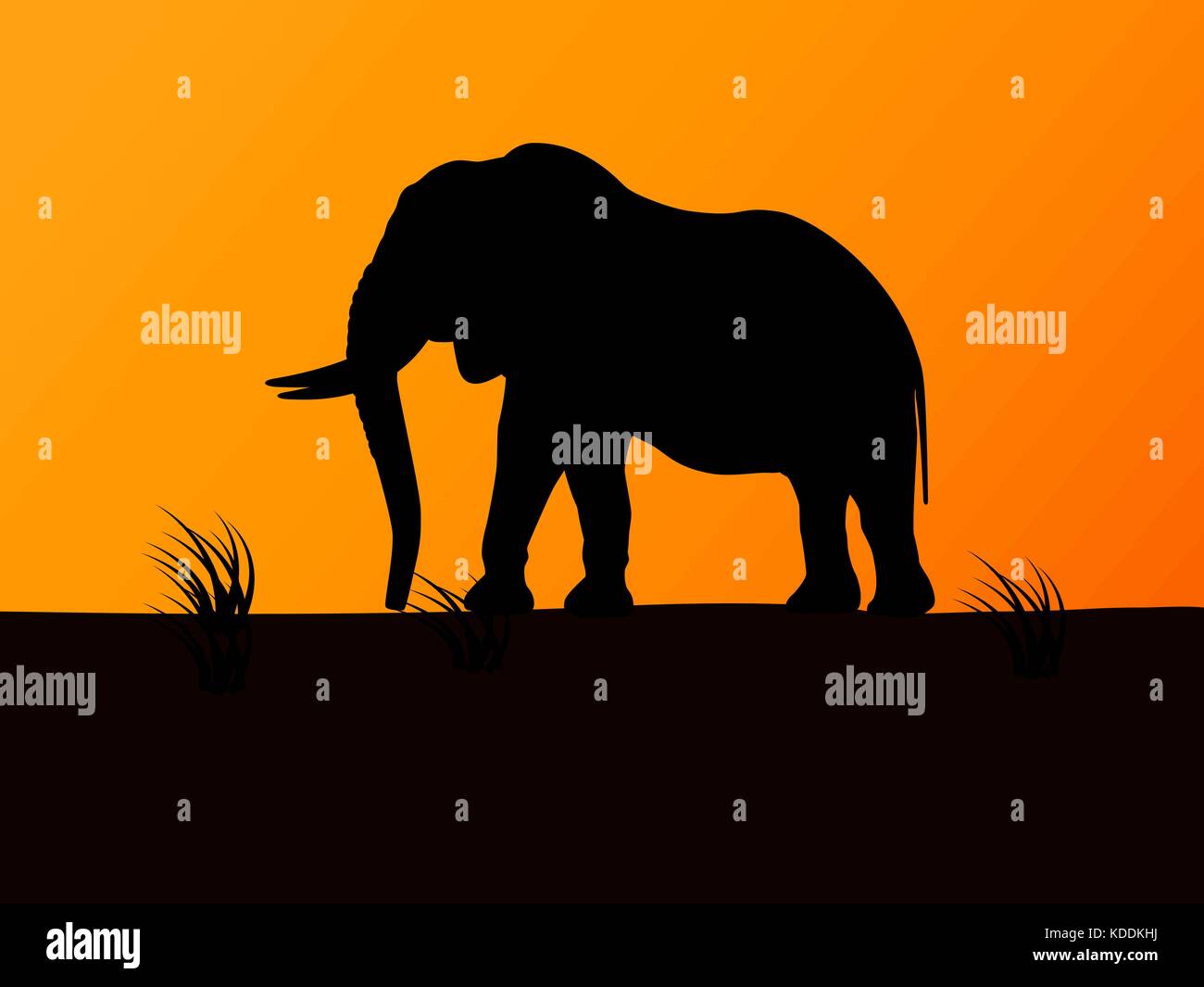 Vector silhouette elephant on background sunset Stock Vector
