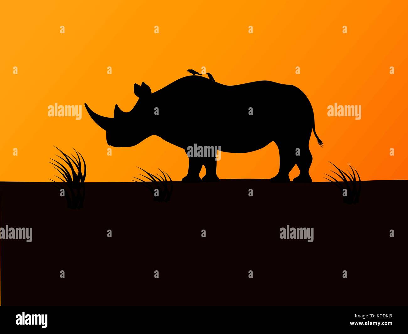 Vector black rhino silhouette background sunset Stock Vector