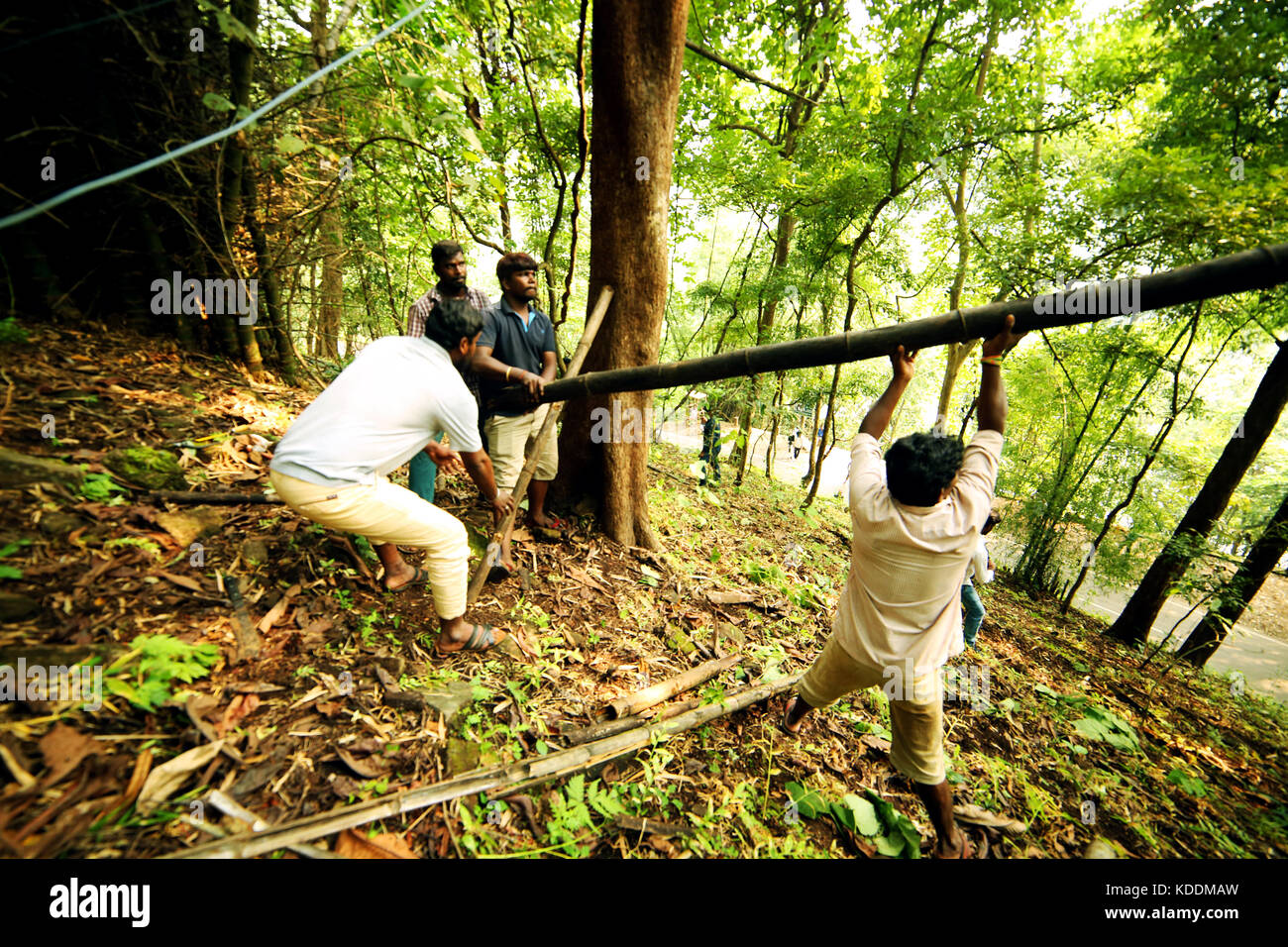 Film peoples carrying tree from forest, film set. Stock Photo