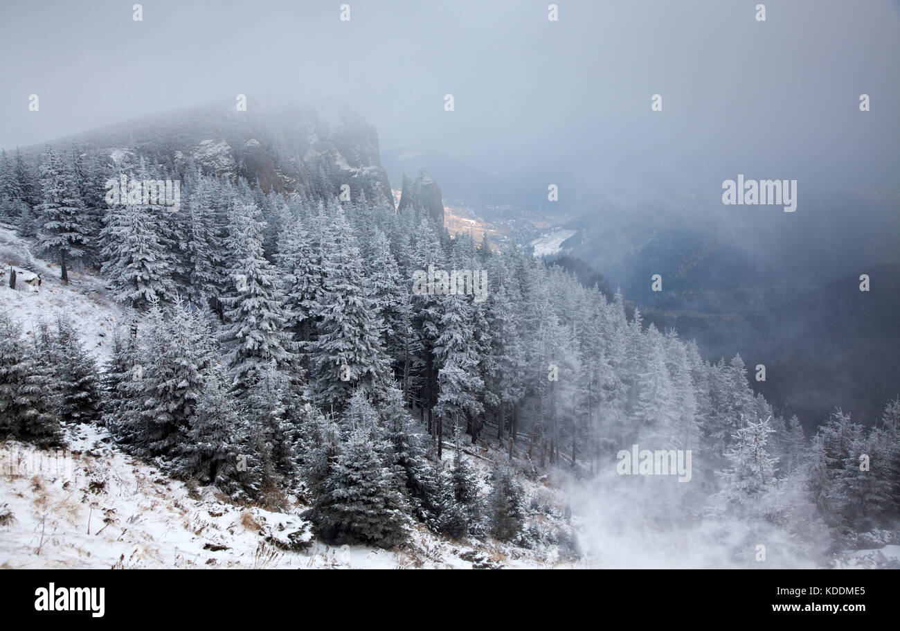 winter landscape with snowy fir trees in the mountains Stock Photo - Alamy