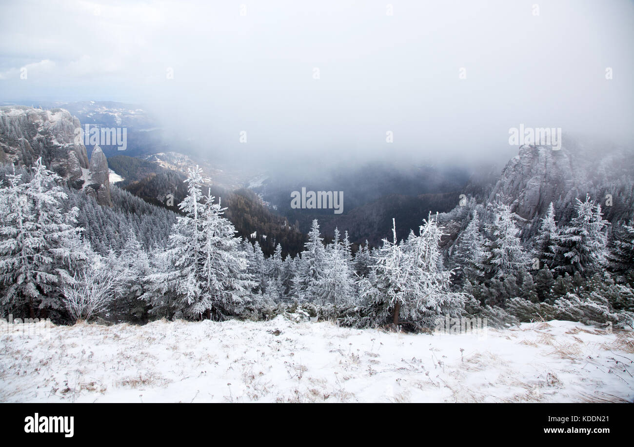 winter landscape with snowy fir trees in the mountains Stock Photo - Alamy