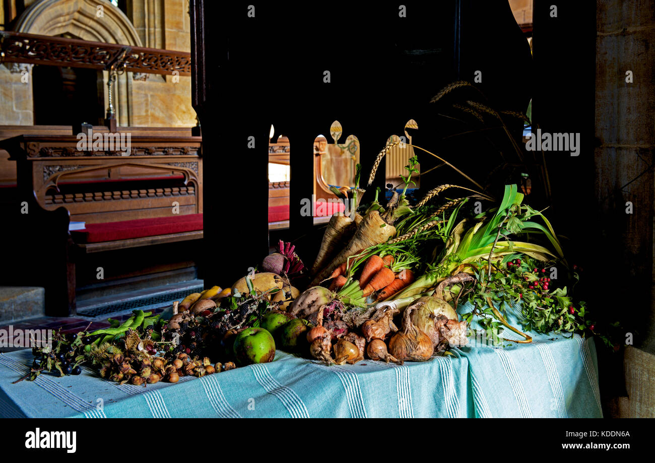 Display of fruit and vegetables, harvest festival,All Saints Church, Evershot, Dorset, England UK Stock Photo