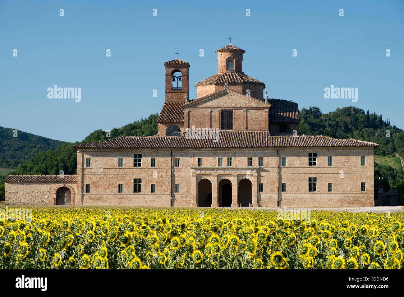 Urbino italy farm hi-res stock photography and images - Alamy