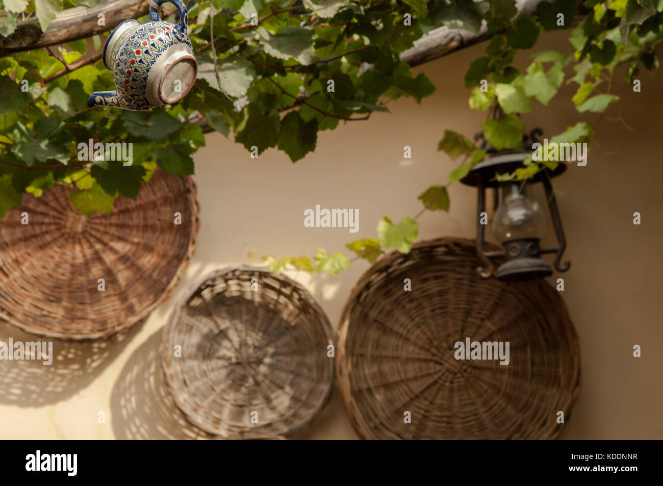 kettle and kerosene lamp hanging on a tree branch against the