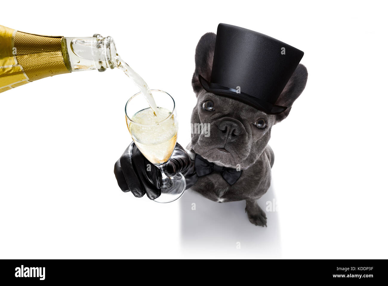 Celebrating christmas together year Cut Out Stock Images & Pictures Alamy