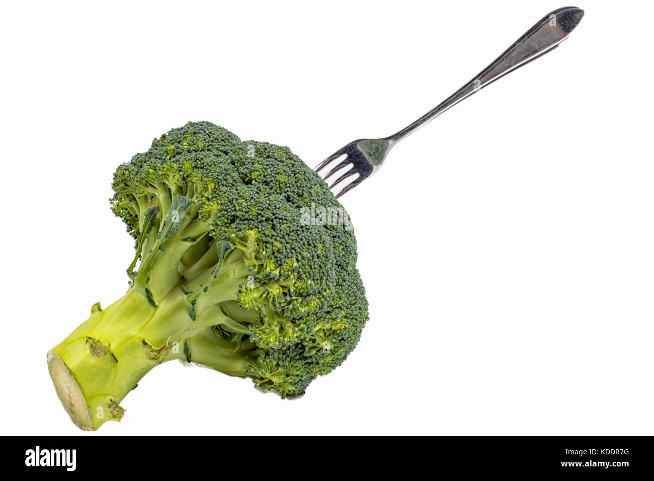 Green broccoli with fork Stock Photo