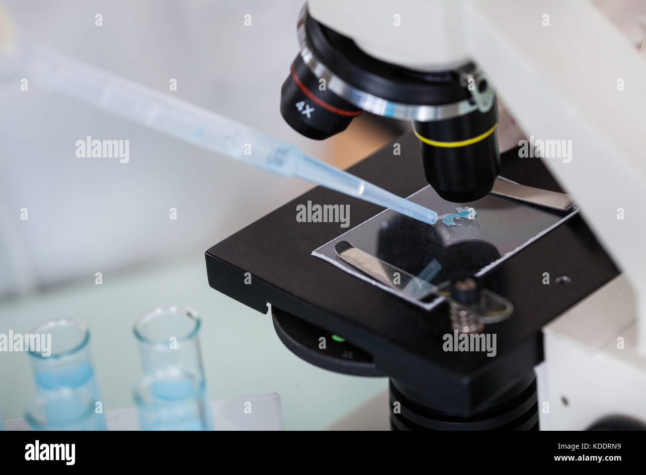Microscope slide hires stock photography and images Alamy