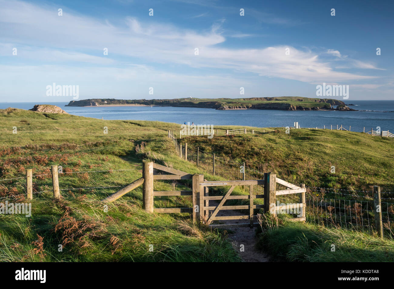 On the Coastpath Looking across to Caldey Island Tenby Pembrokeshire Wales Stock Photo