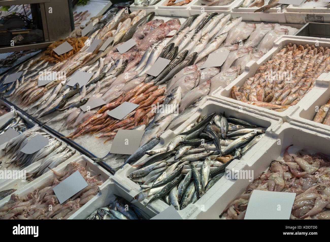 Assortment of fresh fish on ice at the seafood market with empty price tags Stock Photo