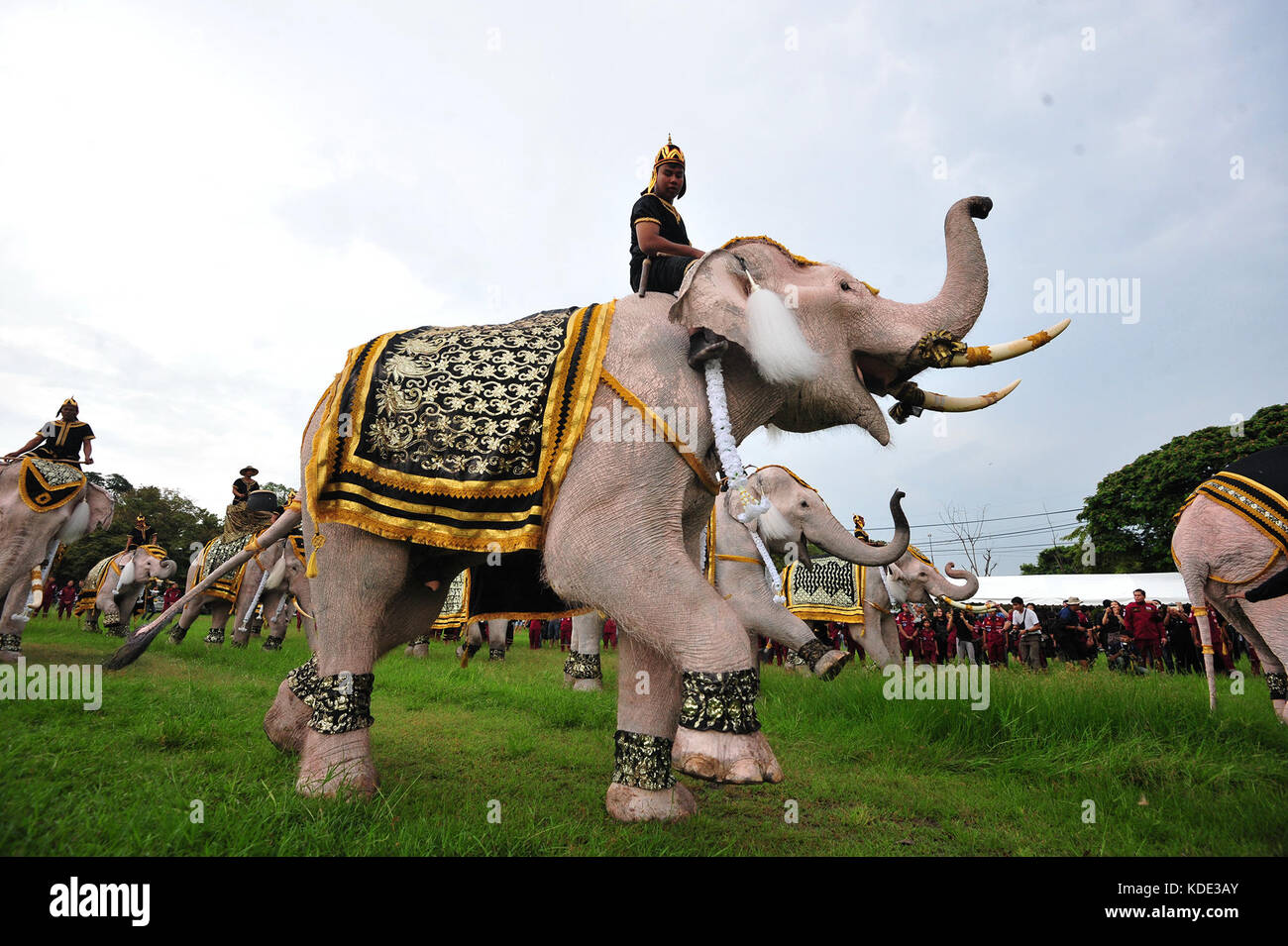 https://c8.alamy.com/comp/KDE3AY/ayutthaya-thailand-13th-oct-2017-a-formation-of-white-elephants-and-KDE3AY.jpg