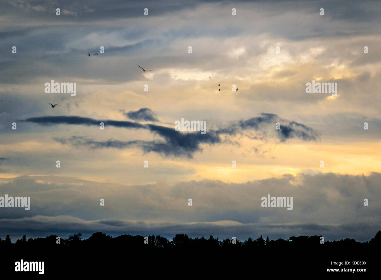 Seeing faces in the clouds hi-res stock photography and images - Alamy
