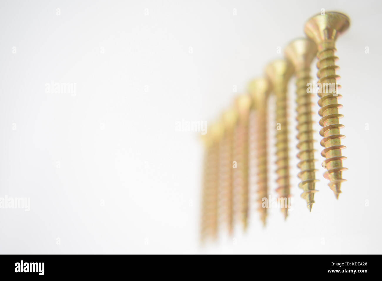 Line of brass screws hanging on a white background. Organised Stock