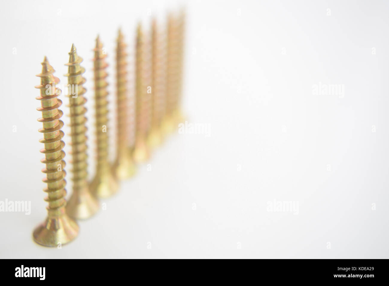 Lines of brass screws on a white background. Organised Stock Photo