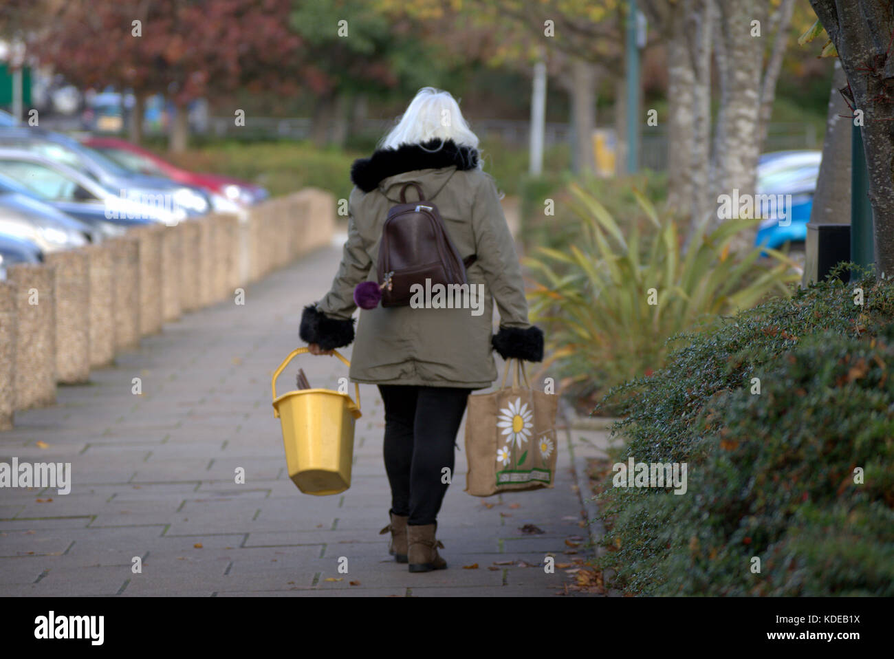 woman lady with strange shopping green recyclable bag and new bucket viewed from behind Stock Photo