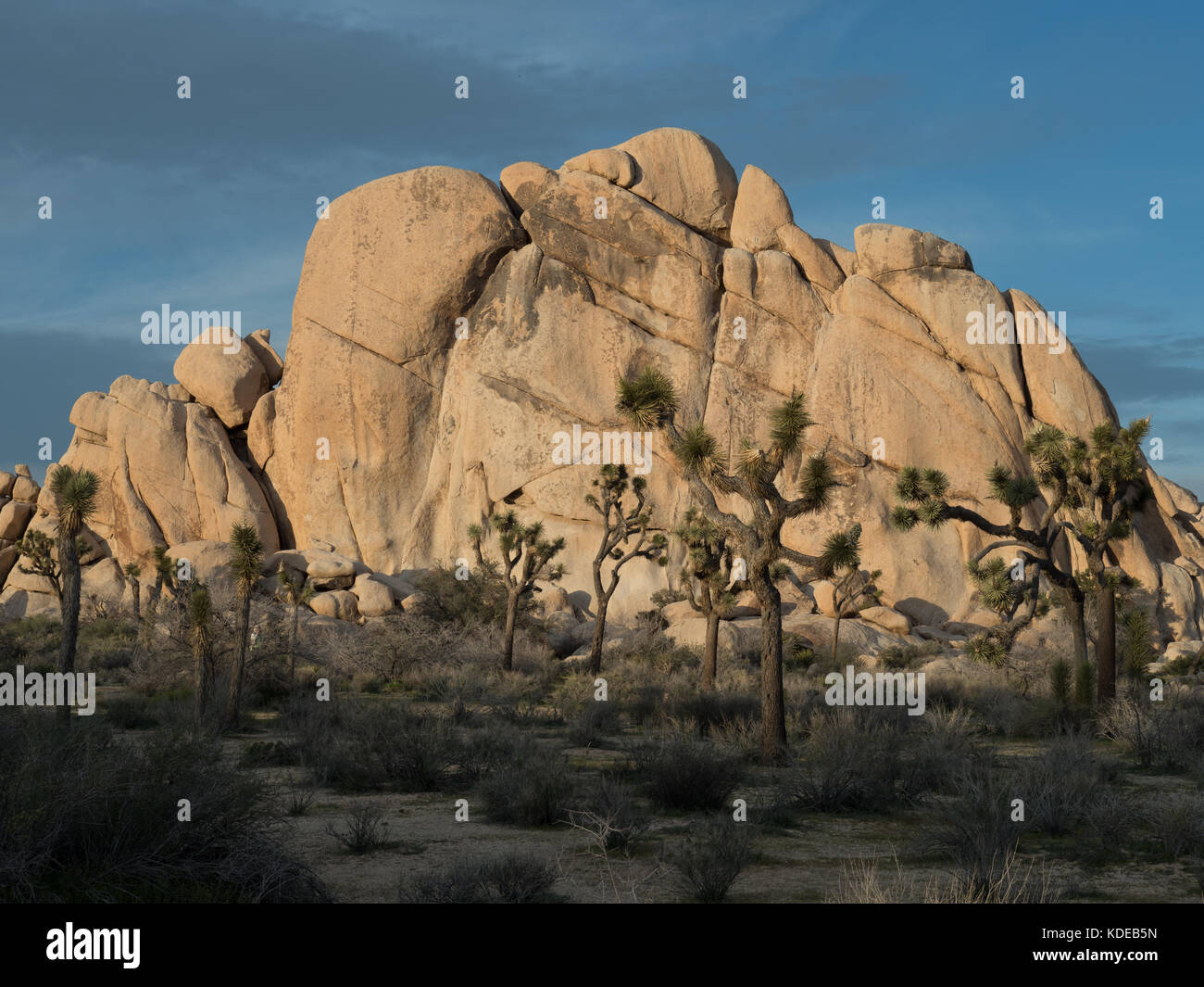 View of Hidden Valley from a hiking trail in Joshua Tree National Park