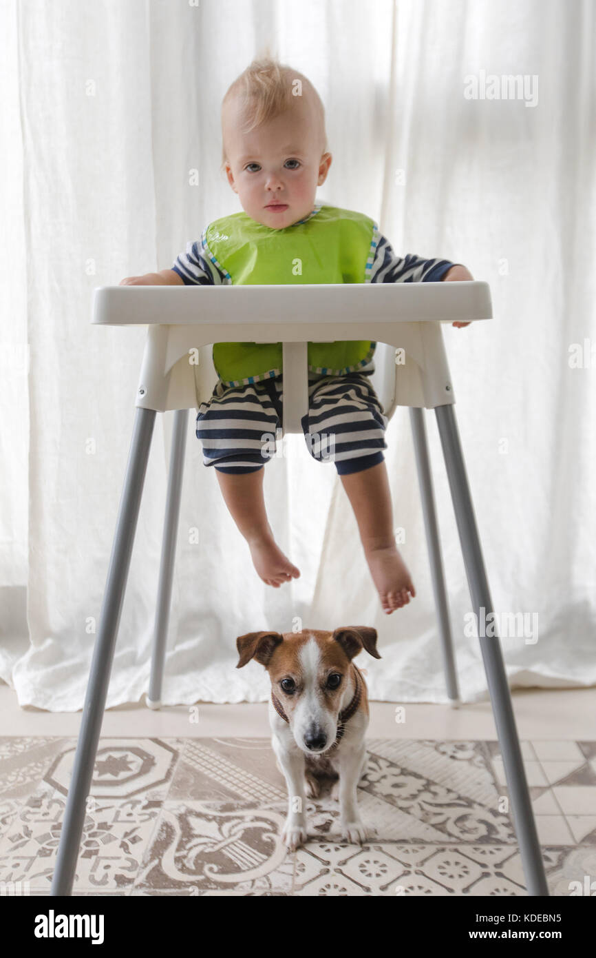 Cute boy and dog under high chair on a white background Stock Photo