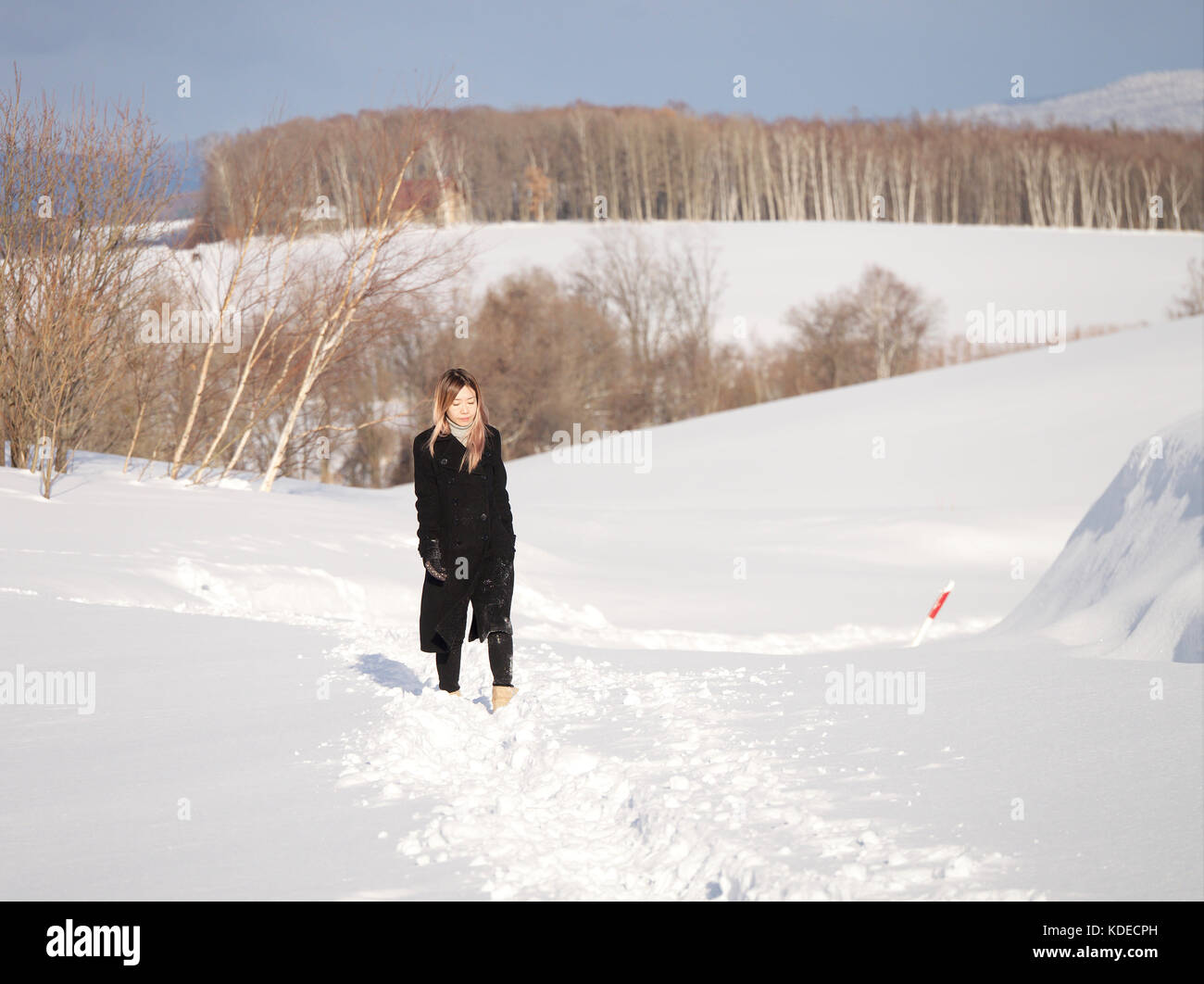 Asian girl walking through the snow at popular tourist location, Mild Seven Hills, in Biei, Hokkaido, Japan, during winter Stock Photo