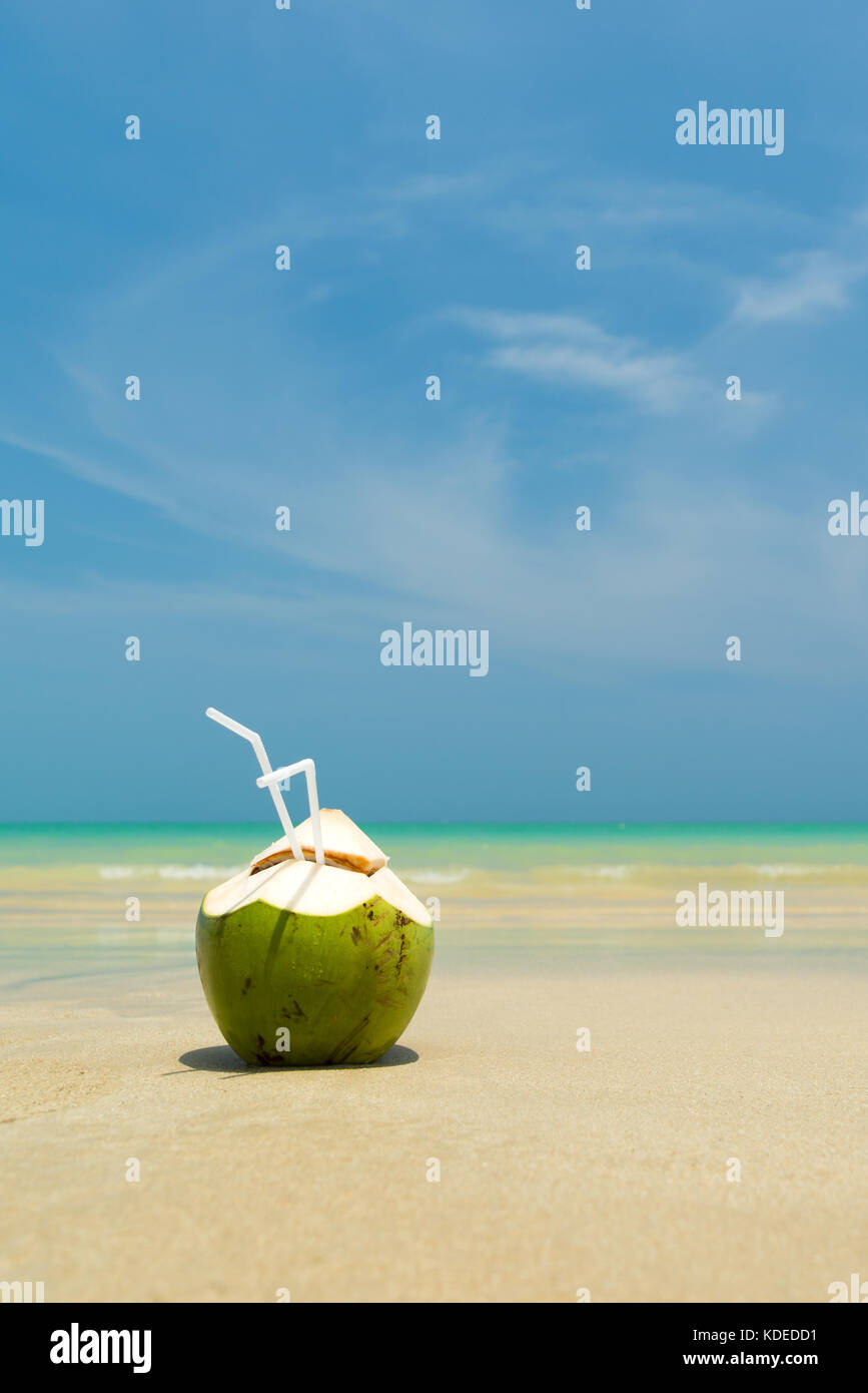 Fresh young coconut lying on the sand beach background with straw ready for drink Stock Photo - Alamy Fresh young coconut lying on the sand beach background with straw ready for drink Stock Photo - Alamy