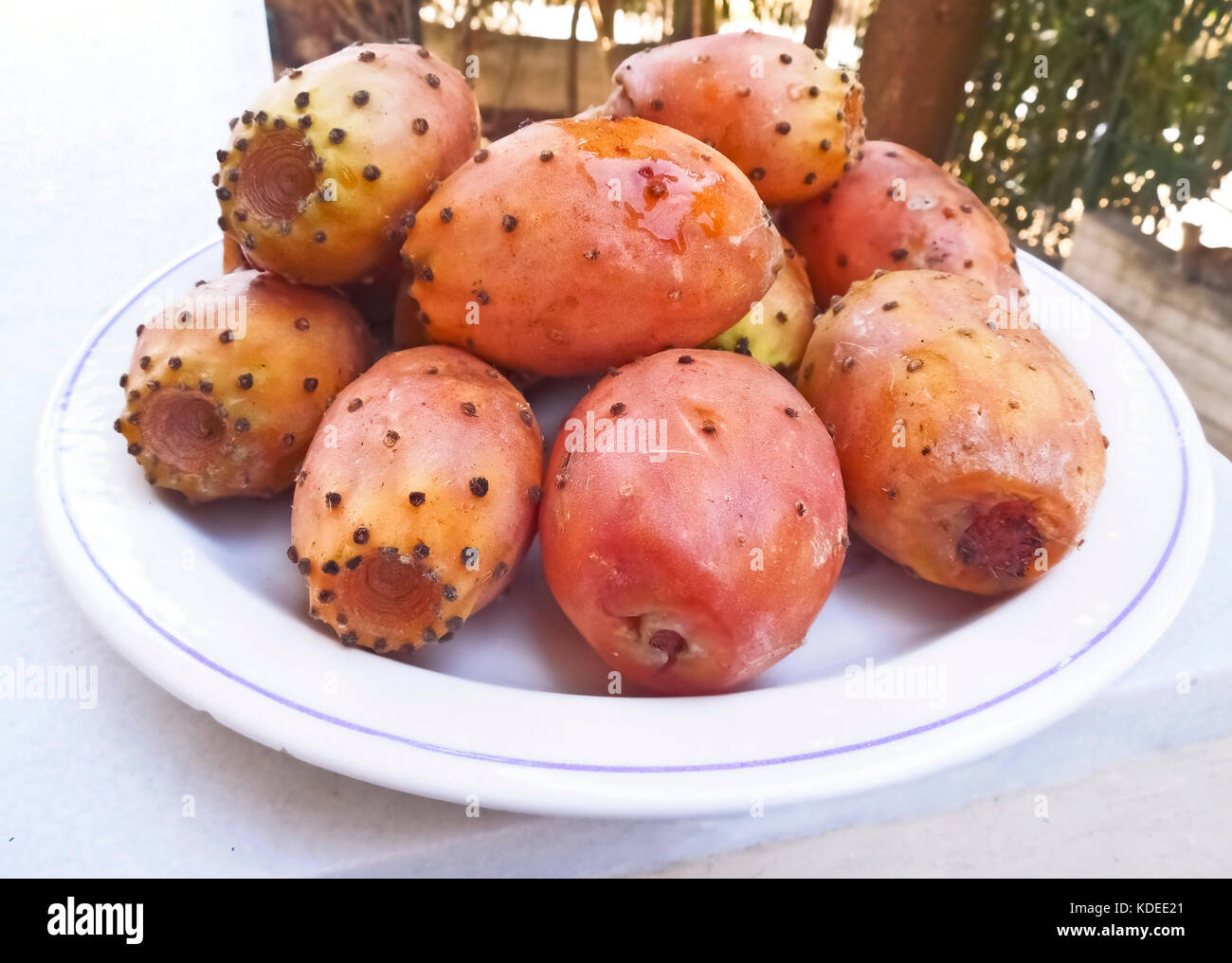 fresh prickly pear fruits on plate Stock Photo