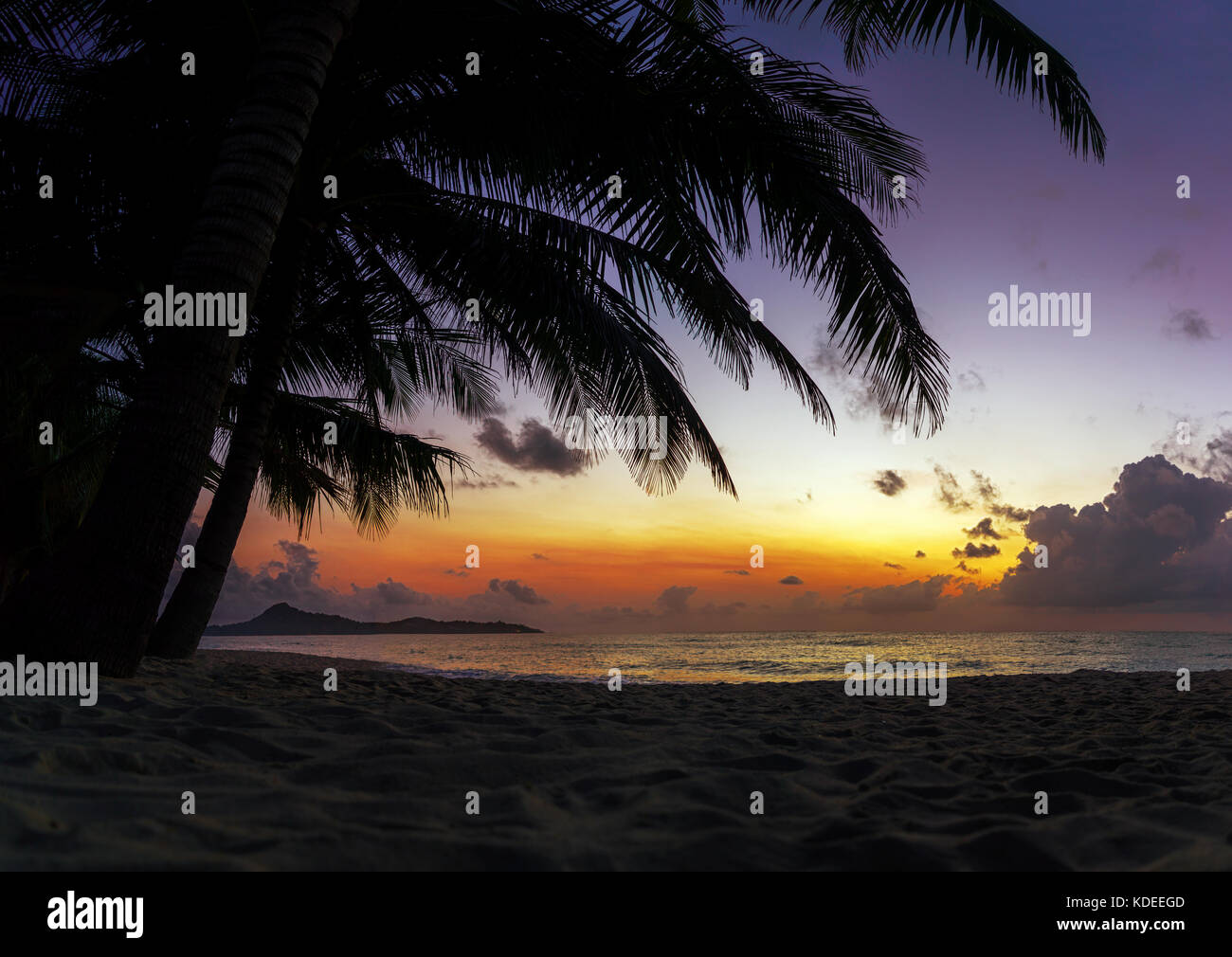 Sunset at the tropical Beach with palm trees and beautiful sky Stock ...