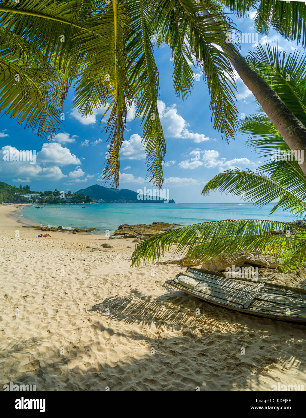 tropical beach with palm coconut trees Stock Photo - Alamy