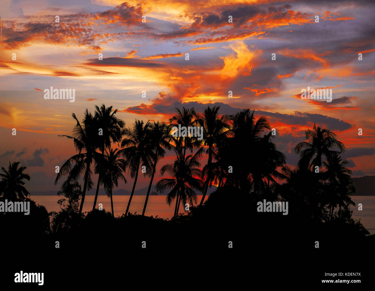 Sunset at the tropical Beach with palm trees and beautiful sky Stock ...