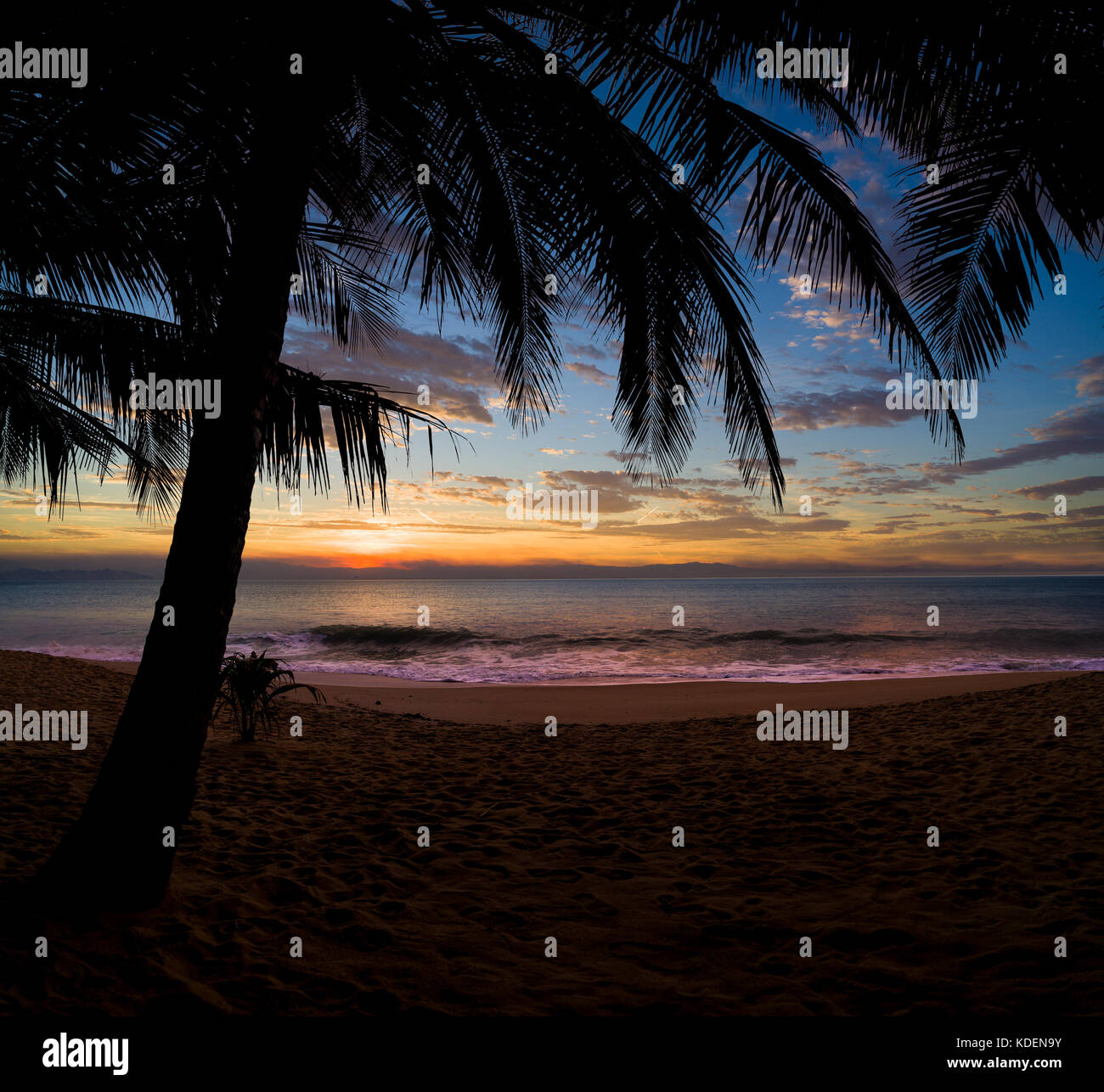 Sunset at the tropical Beach with palm trees and beautiful sky Stock ...