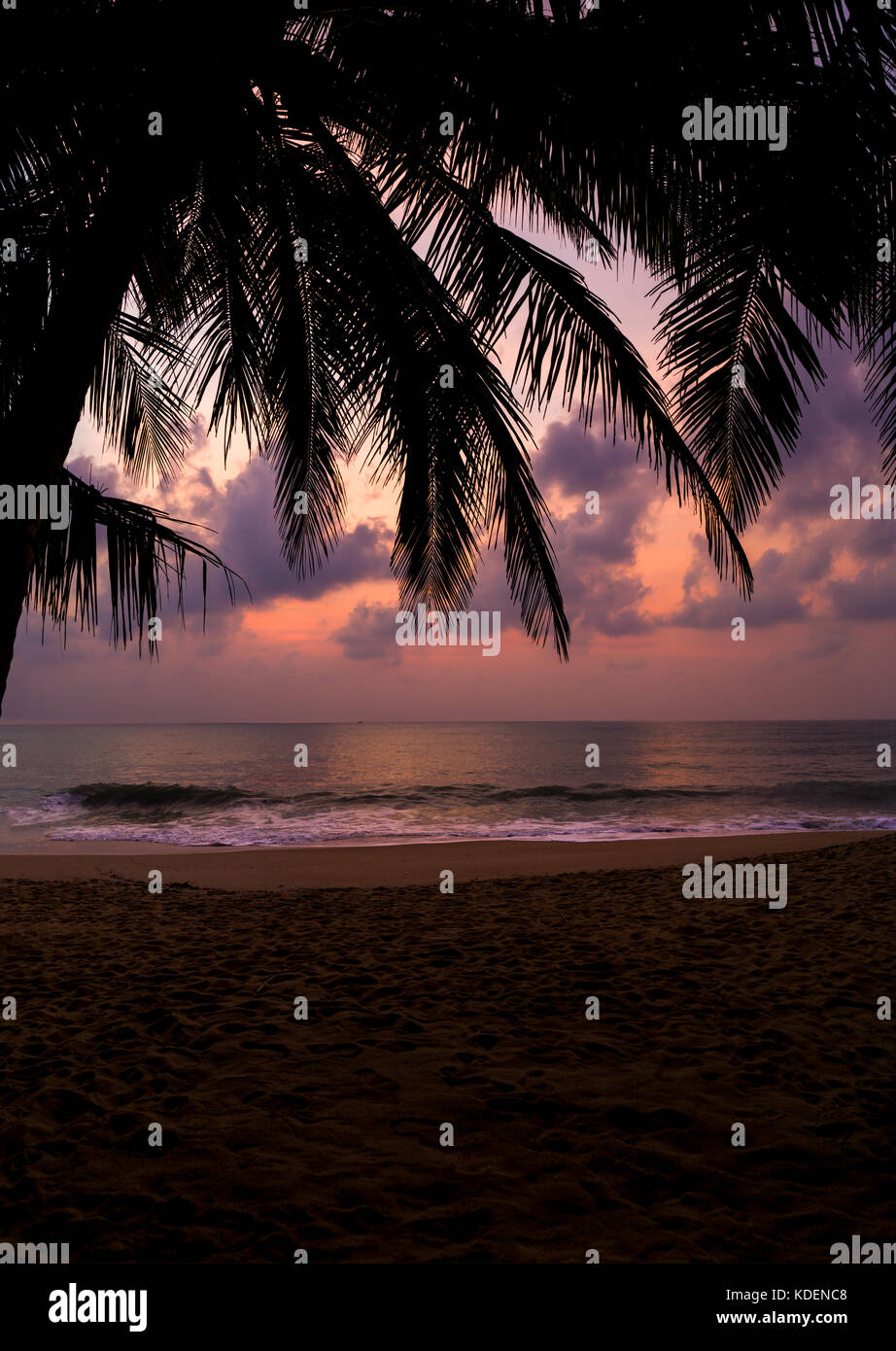 Sunset at the tropical Beach with palm trees and beautiful sky Stock ...