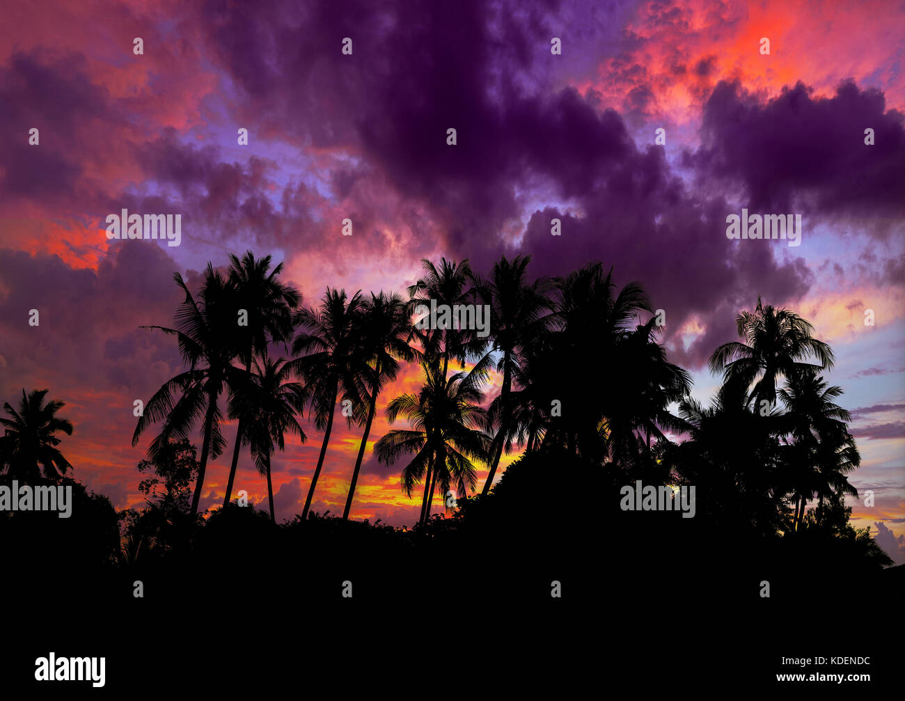 Sunset at the tropical Beach with palm trees and beautiful sky Stock ...