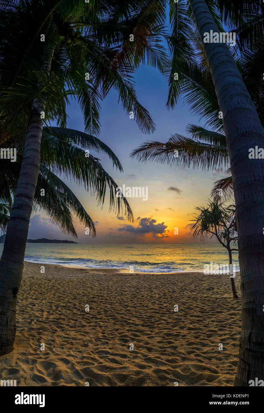 Sunset at the tropical Beach with palm trees and beautiful sky Stock ...